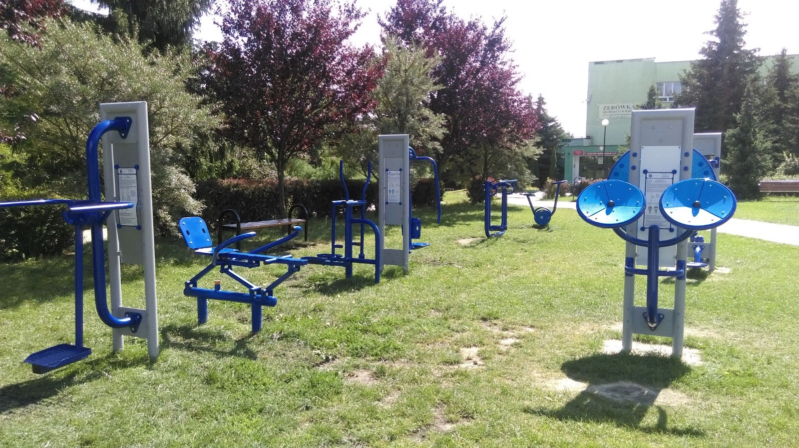 Jakie rośliny na plac zabaw