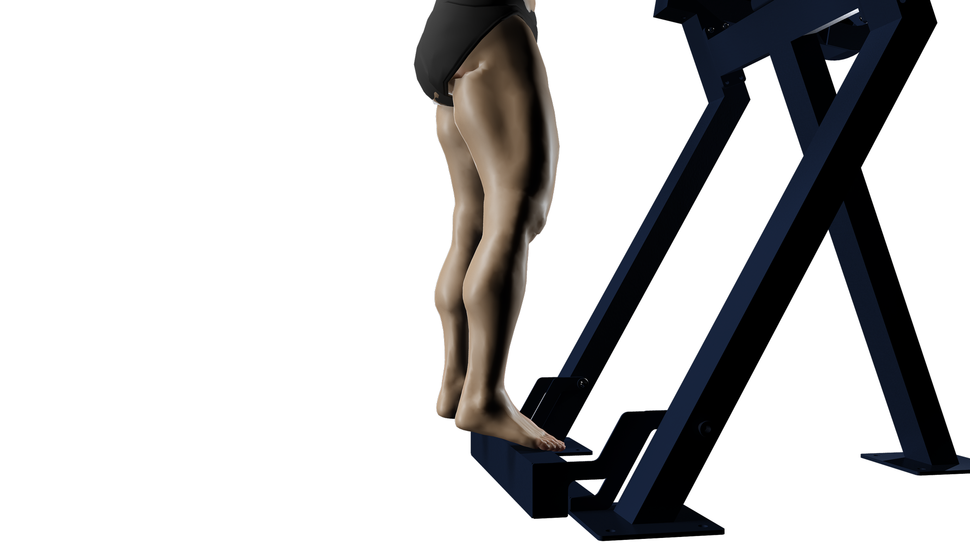 squats przysiady obciążenie activeline wizualizacja